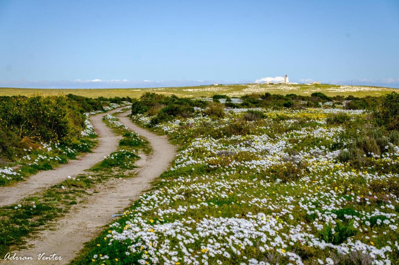 Flamink Beach View Cottage In Paternoster Eksteriør billede