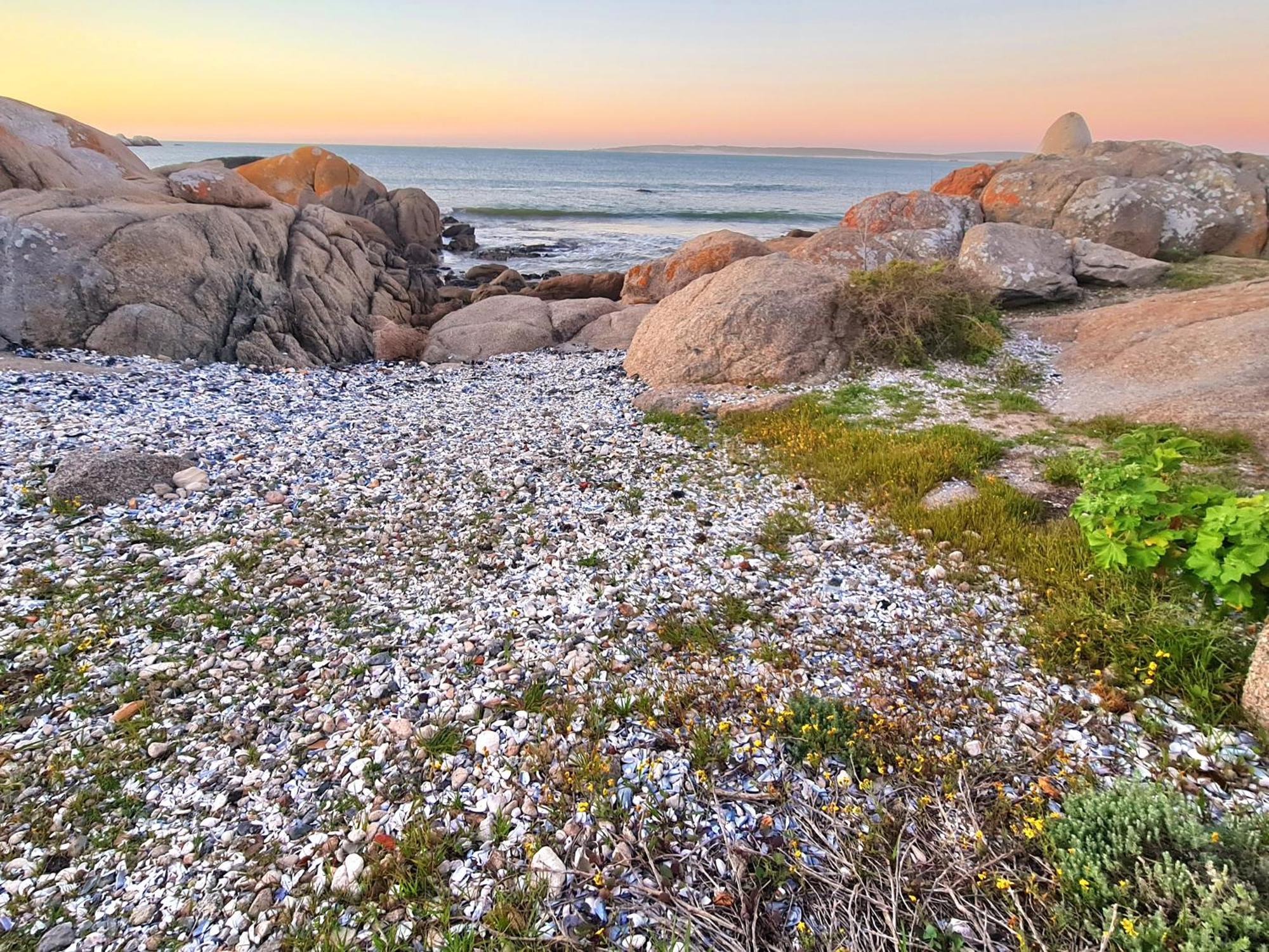 Flamink Beach View Cottage In Paternoster Eksteriør billede